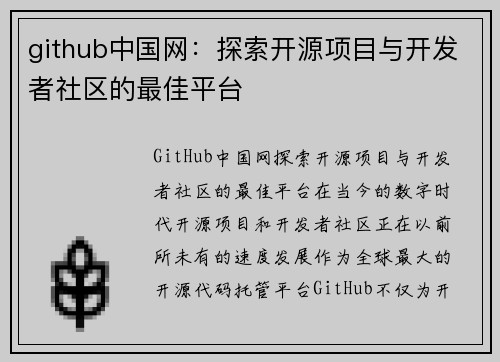 github中国网：探索开源项目与开发者社区的最佳平台